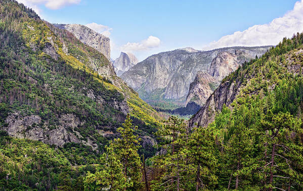 Spring Art Print featuring the photograph Yosemite Valley, A Different View by Brian Tada
