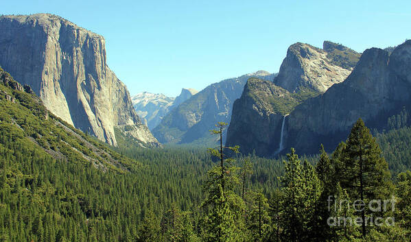 Yosemite National Park Art Print featuring the photograph Yosemite Valley View 6667 by Jack Schultz