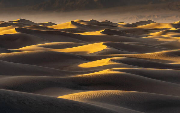 Sand Art Print featuring the photograph Sand Waves #1 by Catherine Lu