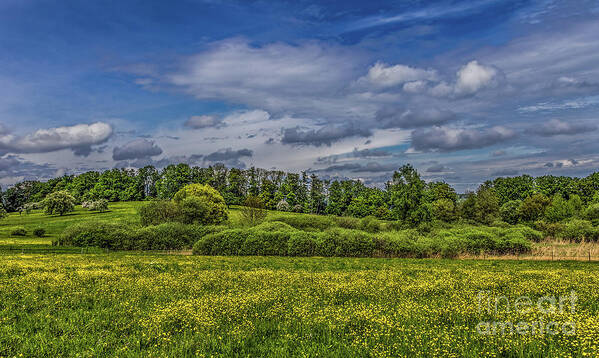 Spring Art Print featuring the photograph Spring is in the air #2 by Bernd Laeschke