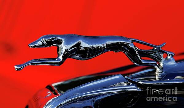 1934 Ford Hood Ornament Art Print featuring the photograph 1934 Ford by Terri Brewster
