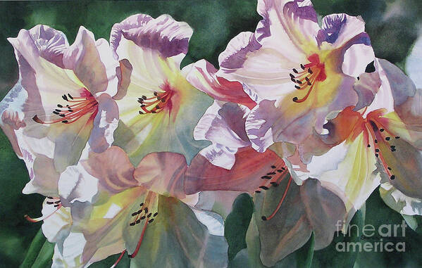 Rhododendron Art Print featuring the painting Abstract Rhododendron by Sharon Freeman