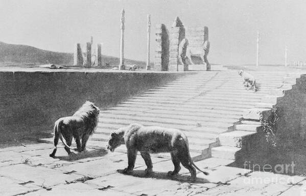 Ancient History Art Print featuring the photograph Babylon After Being Destroyed by Bettmann