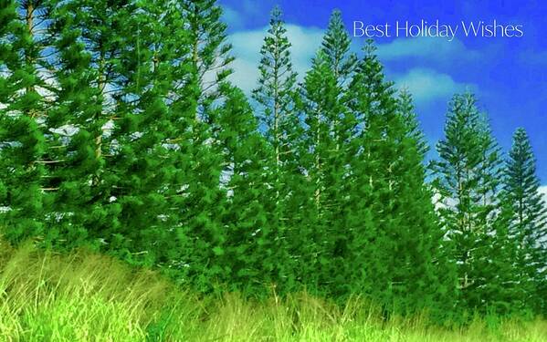 Best Holiday Wishes Art Print featuring the photograph Best Holiday Evergreens In Hawaii by Debra Grace Addison