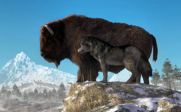 Buffalo Art Print featuring the digital art Buffalo and Wolf by Daniel Eskridge