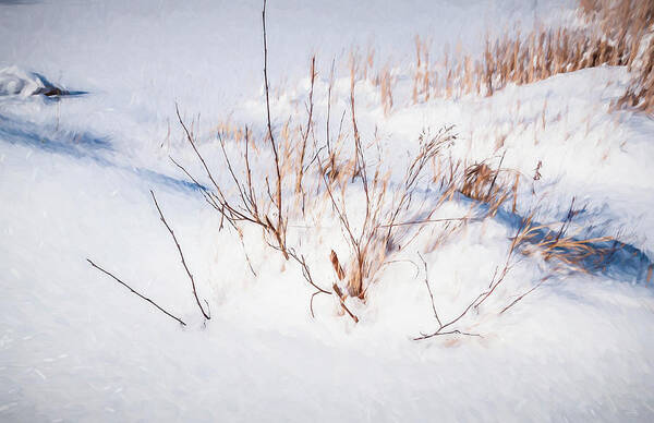 Digital Art Budded Branches In Snow Art Print featuring the photograph Digital Art Budded Branches In Snow by Anthony Paladino