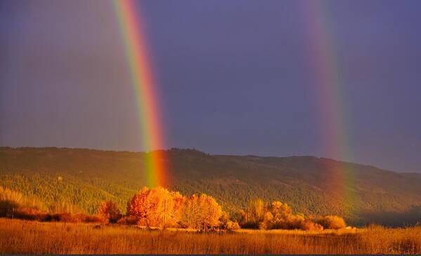 Rainbow Art Print featuring the photograph Double Gold by Tom Gresham