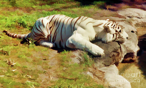 Tiger Art Print featuring the photograph Exhausted - Tiger by D Hackett