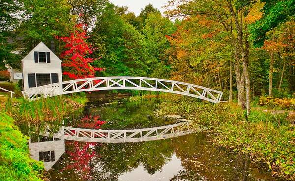 Fall Art Print featuring the photograph Fall Footbridge Reflection by Tom Gresham