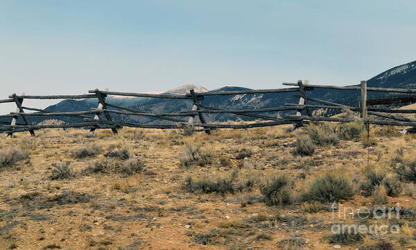 Gorge Art Print featuring the photograph Fence Posts by Leslie M Browning