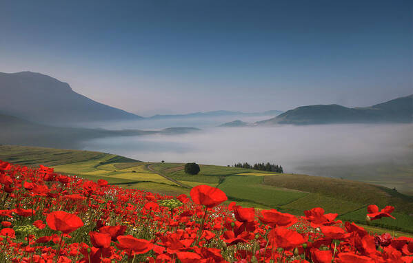 Scenics Art Print featuring the photograph Field Of Red Poppies And Green Hills by Buena Vista Images