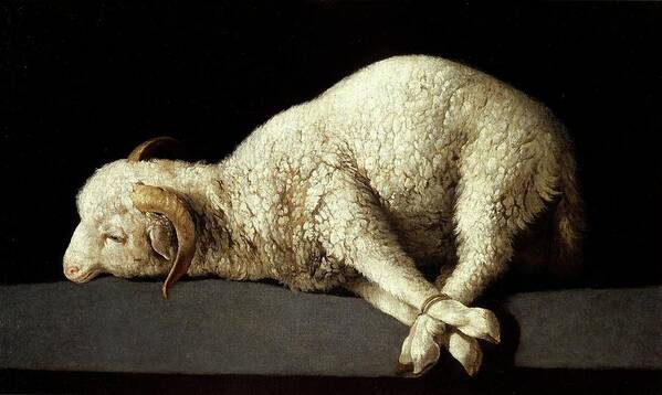 Agnus Dei (the Lamb Of God) Art Print featuring the painting Francisco de Zurbaran / 'Agnus Dei -The Lamb of God-', 1635-1640, Spanish School. by Francisco de Zurbaran -c 1598-1664-