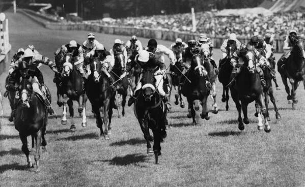 Horse Art Print featuring the photograph Goodwood Race by Evening Standard