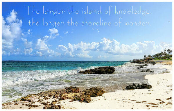 Island Art Print featuring the photograph Island of Knowledge by Ola Allen