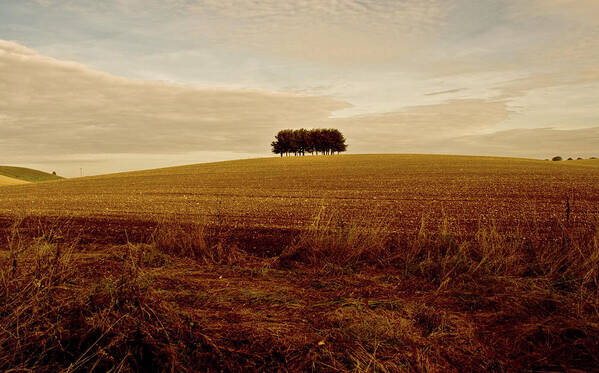 Tranquility Art Print featuring the photograph Lincolnshire Wolds by Steve Haseldine