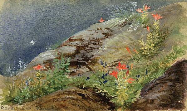 Watercolor Art Print featuring the painting Mountain Flowers by Lilias Trotter