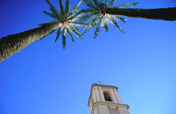 Outdoors Art Print featuring the photograph Palm Trees Framing Tower Of Iglesia De by Martin Llado