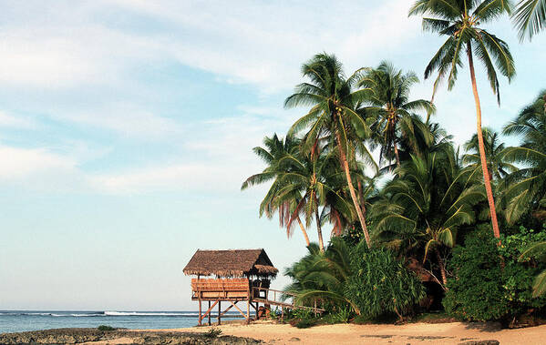 Tropical Tree Art Print featuring the photograph Philippines, Surigao Del Norte, Siargao by Tropicalpixsingapore