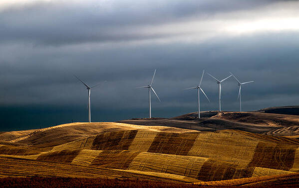 Windmill Art Print featuring the photograph Rolling Wheat Fields by Charles Lai