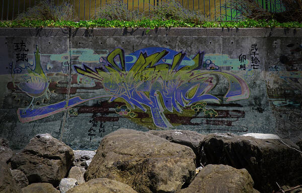 Tags Art Print featuring the photograph Seawall Graffiti 3 by Eric Hafner