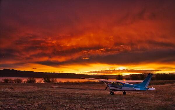 Cessna Art Print featuring the photograph Skylane Sunrise by Tom Gresham
