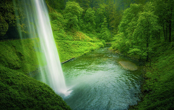 Waterfalls Art Print featuring the photograph Spring Cascade by Don Schwartz