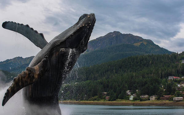 Whale Art Print featuring the photograph Statue 1 by David Kirby