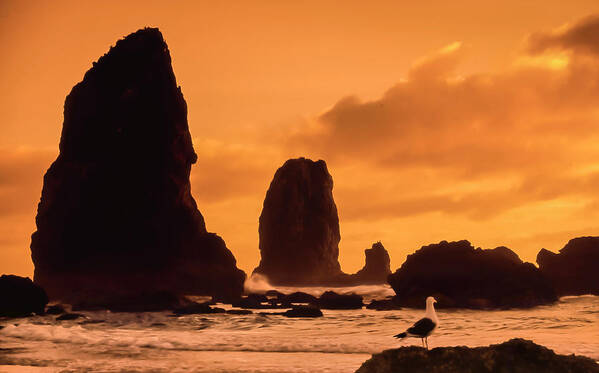 Scenics Art Print featuring the photograph Sunset On Oregon Coast At Canon Beach by Russell Illig