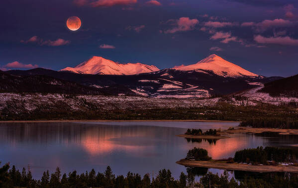 Blood Moon Art Print featuring the photograph Super Wolf Blood Moonrise by Darren White