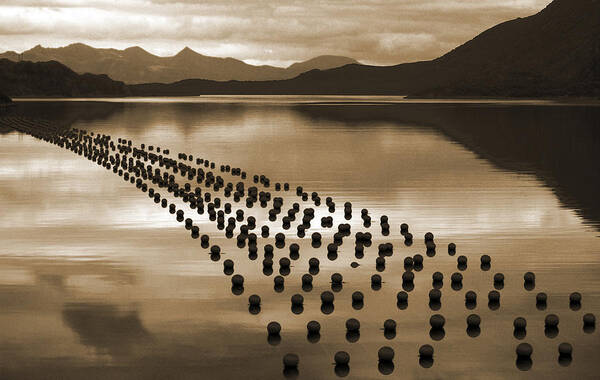 Balls Art Print featuring the photograph The Mussel Farm by Bror Johansson