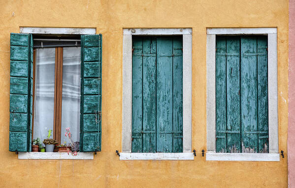Venice Art Print featuring the photograph Three Green Windows of Venice by David Letts