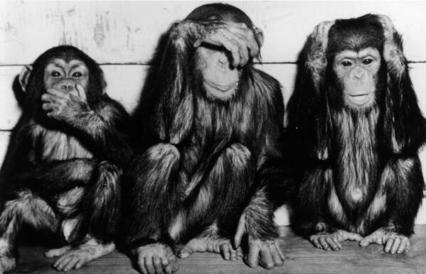 #faatoppicks Art Print featuring the photograph Three Wise Monkeys by Keystone