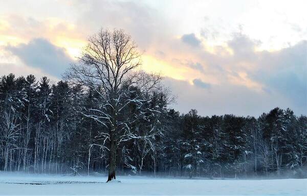 Snow Art Print featuring the photograph - Winter Sunset by THERESA Nye