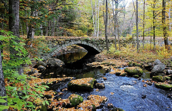 Stone Arch Autumn New England Hampshire Nh Bridge Water Stream Trout Fishing Leaves Foliage Fall Brook Art Print featuring the photograph Stone Arch Bridge in Autumn by Wayne Marshall Chase