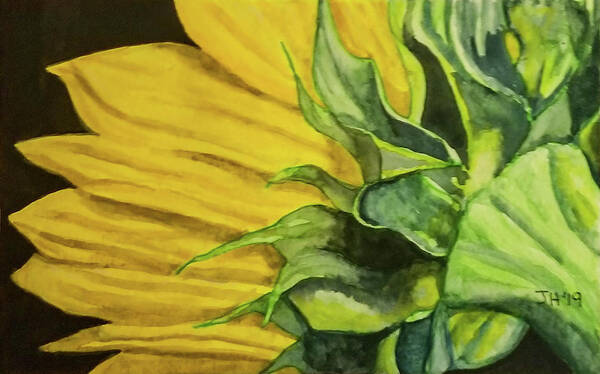 Sunflower Art Print featuring the painting Sunflower #3 by Jean Haynes