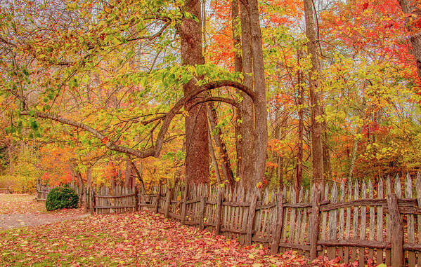 Oconaluftee Art Print featuring the photograph A Crooked Old Fence in the Shadow of Fall by Marcy Wielfaert