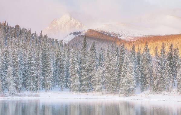 Snow Art Print featuring the photograph A Peak Above - Full by Darren White
