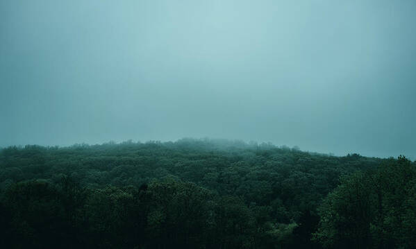 Fog Art Print featuring the photograph A Spring Mood by Rich Kovach