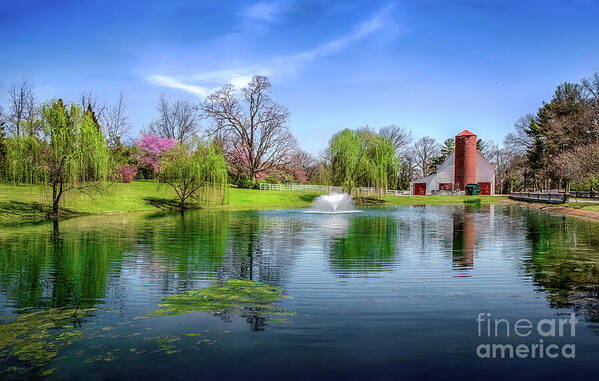 Allandale Art Print featuring the photograph Allandale Lake in Spring by Shelia Hunt