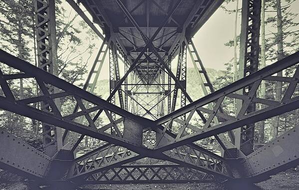 Bridge Art Print featuring the photograph Architecture 4 by Carol Jorgensen