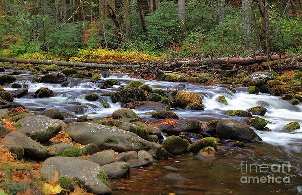 River Art Print featuring the photograph Autumn Lullabye by Rick Lipscomb