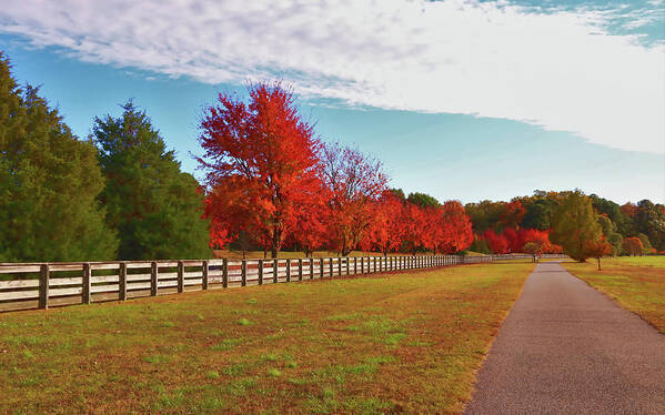 Riverview Farm Park Art Print featuring the photograph Autumn Reds in Riverview Farm Park by Ola Allen