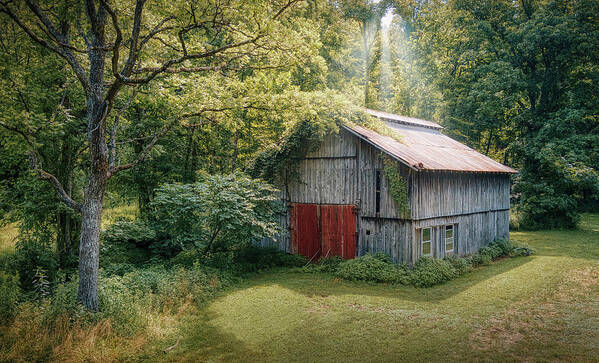 Barn Farm Trees Woods Shed Kentucky Art Print featuring the photograph Barn On Reeves Branch by Timothy Harris