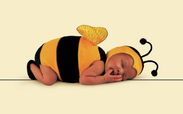 Bee Art Print featuring the photograph Bumblebee #6 by Anne Geddes