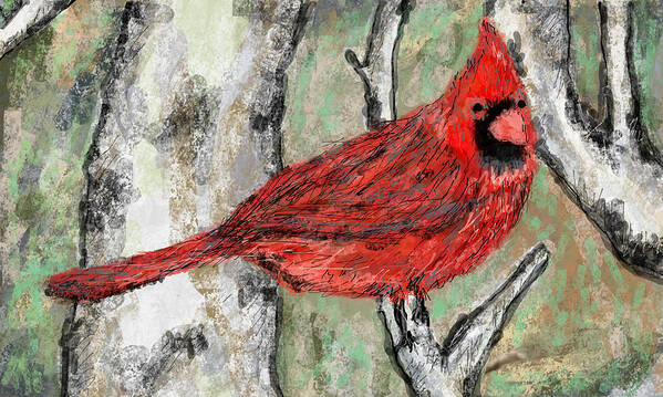 Bird Nature Red Cardinal Woods Art Print featuring the mixed media Cardinal by Bradley Boug