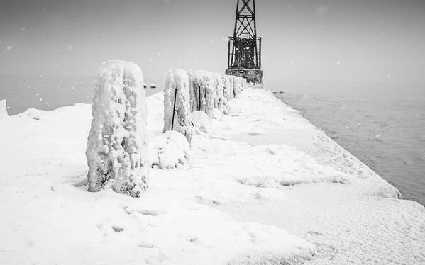 Baum Art Print featuring the photograph Chicago Pier by Miguel Winterpacht