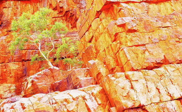 Australia Rocks Art Print featuring the photograph Colours of Ormiston Gorge, Northern Territory by Lexa Harpell