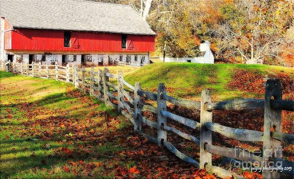 Autumn Art Print featuring the photograph Come October by Tami Quigley