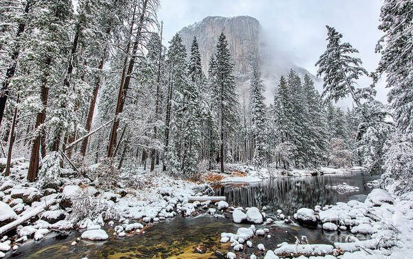 El Capitan And The Merced River Snow In Yosemite National Park Art Print featuring the photograph El Capitan and The Merced River with Snow in Yosemite National Park by Dustin K Ryan