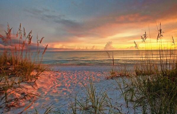 Gulf Of Mexico Art Print featuring the photograph Evening At The Beach by HH Photography of Florida